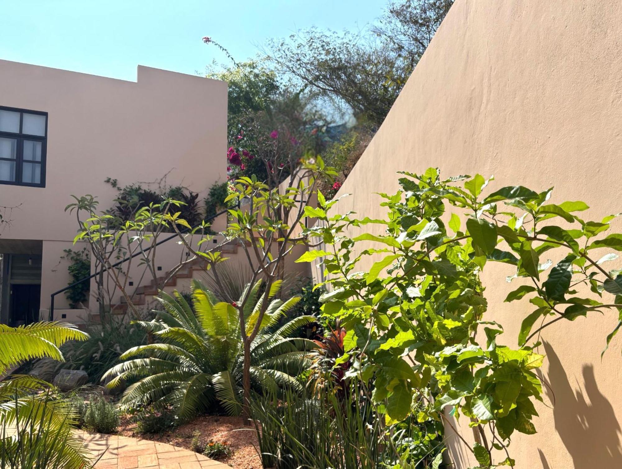 Casa Las Almas มาซุนเต ภายนอก รูปภาพ