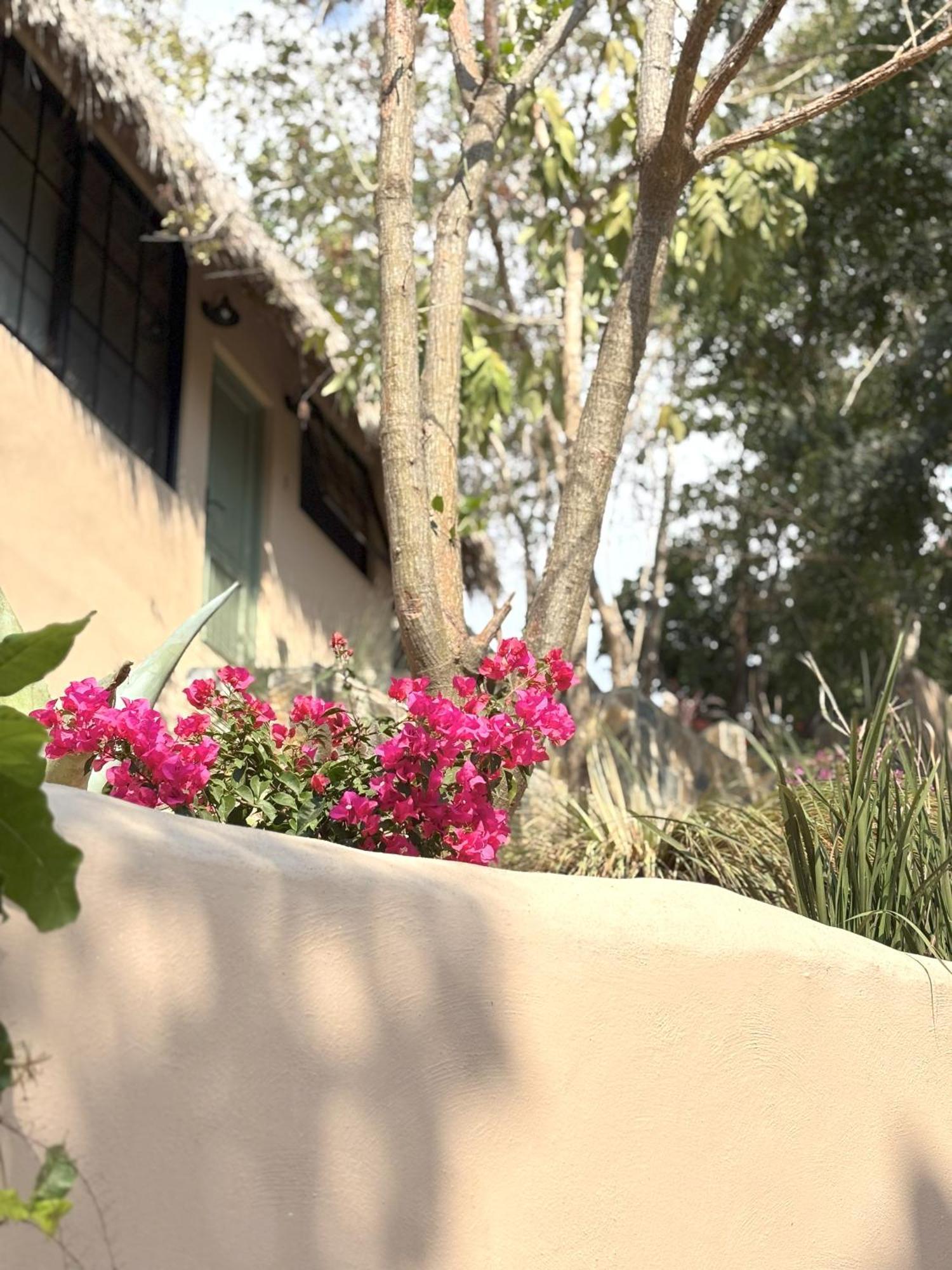 Casa Las Almas มาซุนเต ภายนอก รูปภาพ
